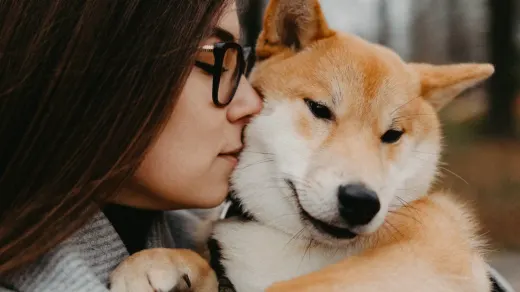 Dog with an owner at home