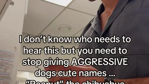 No because honestly why do the craziest dogs have the cutest names … #dogs